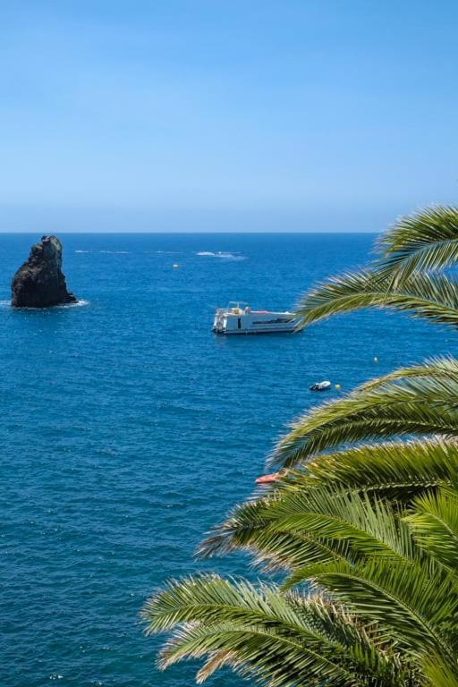 Appartamento Guestready - A Sunny Delight In Funchal Esterno foto